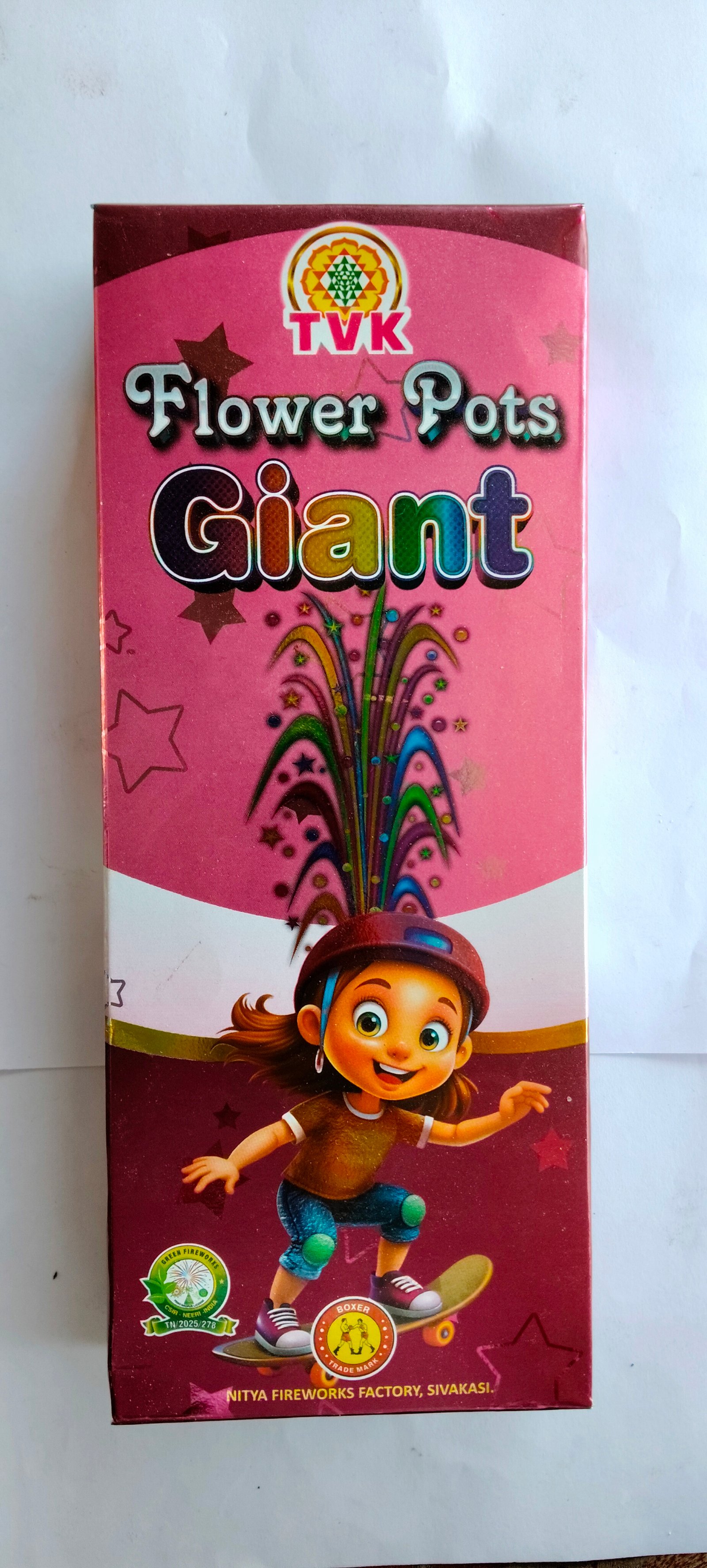 Flower Pots Giant