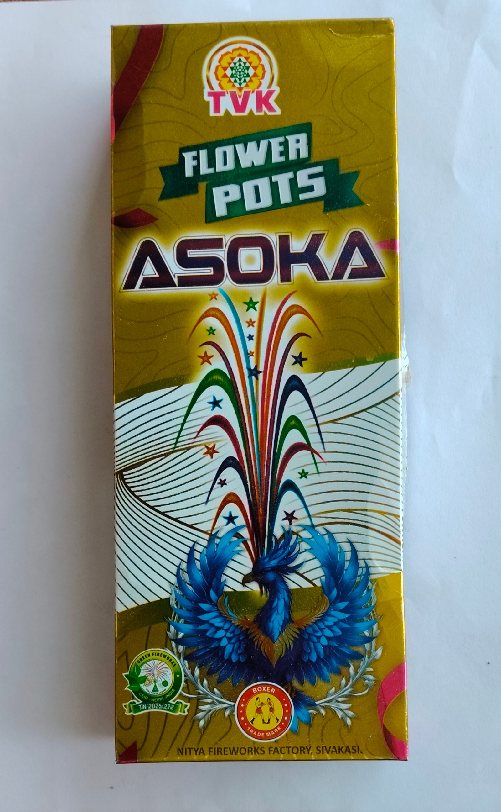 Flower Pots Asoka